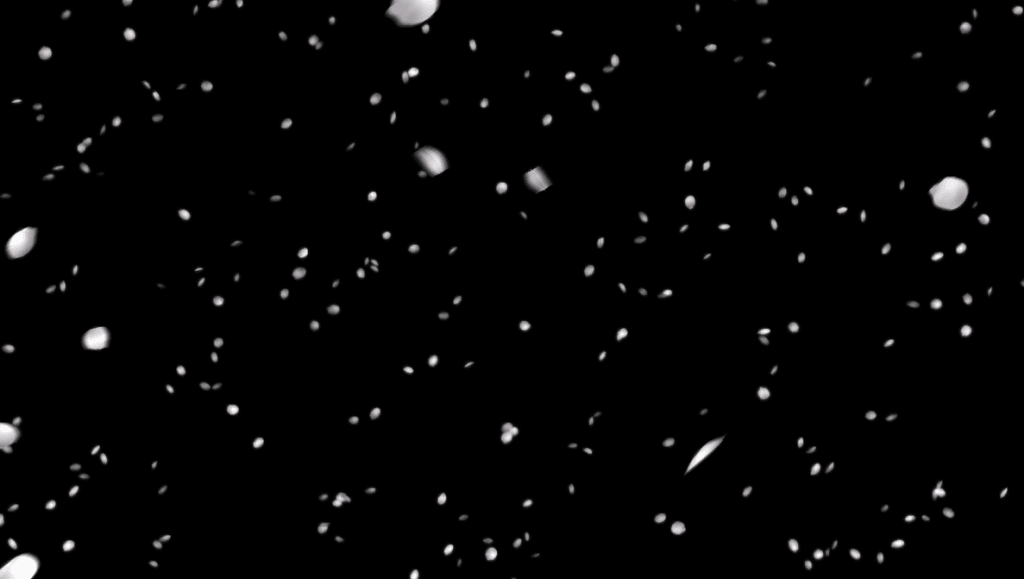 Anime-Petals-Fall-PL